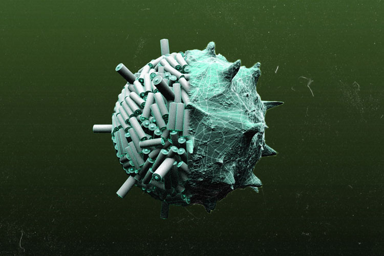 ‌‌ویروس ابزاری بیولوژیک برای ساخت نسل آینده باتری‌ها