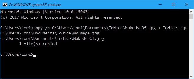 Hide files in Windows 10 in a JPEG-1 image