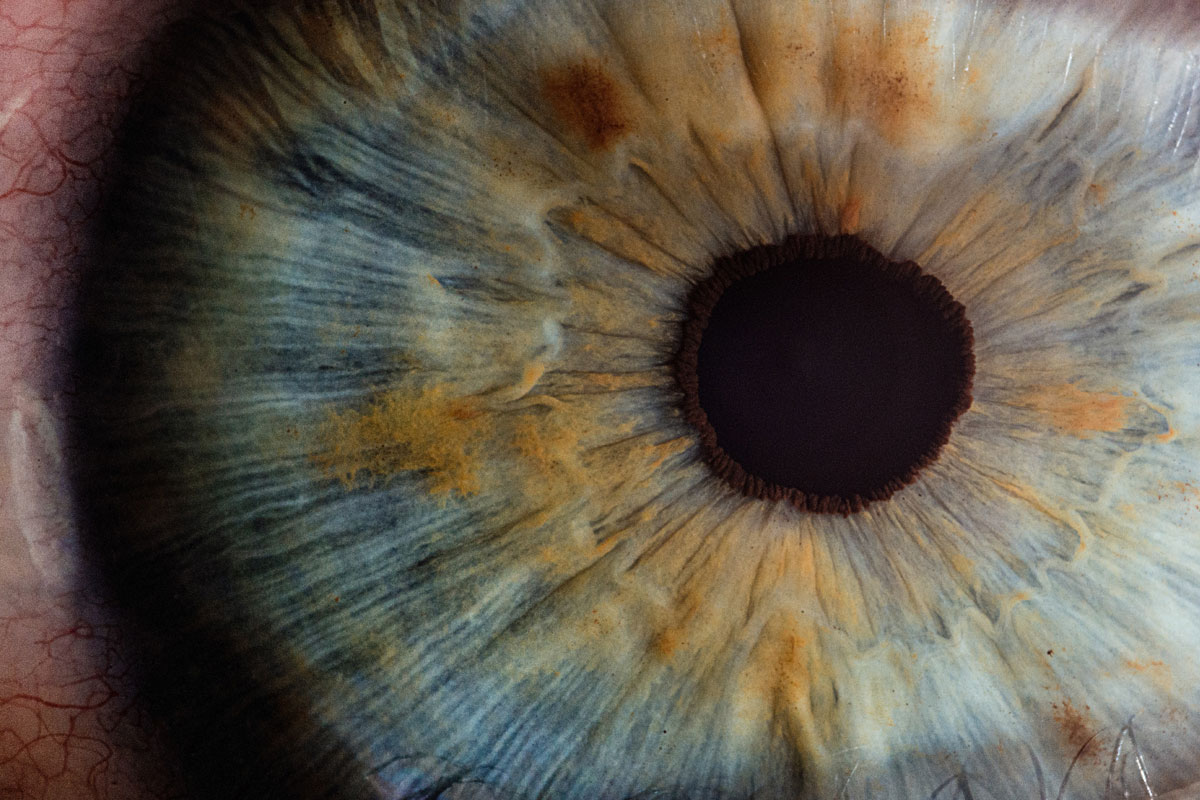 وضوح چشم انسان چند مگاپیکسل است؟