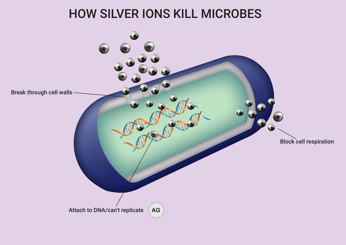 یون‌های نقره چگونه باکتری‌ها را از بین می‌برند؟