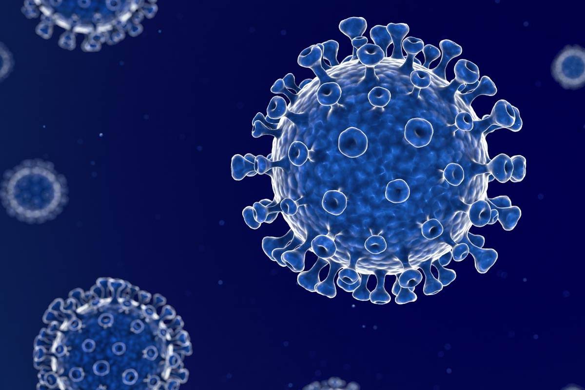 دانشمندان افزایش قدرت ویروس کرونا دراثر جهش را بعید می‌دانند