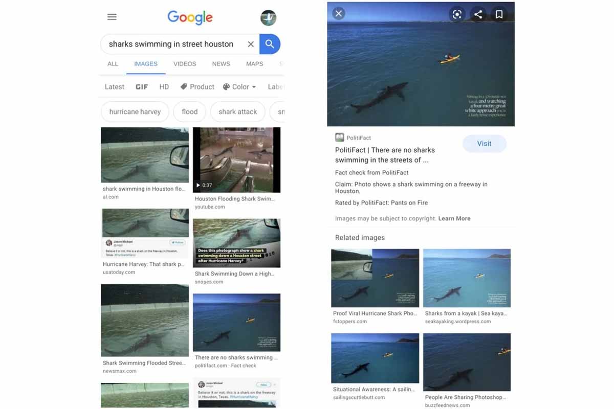 قابلیت صحن سنجی راستی آزمایی جستجو تصاویر گوگل
