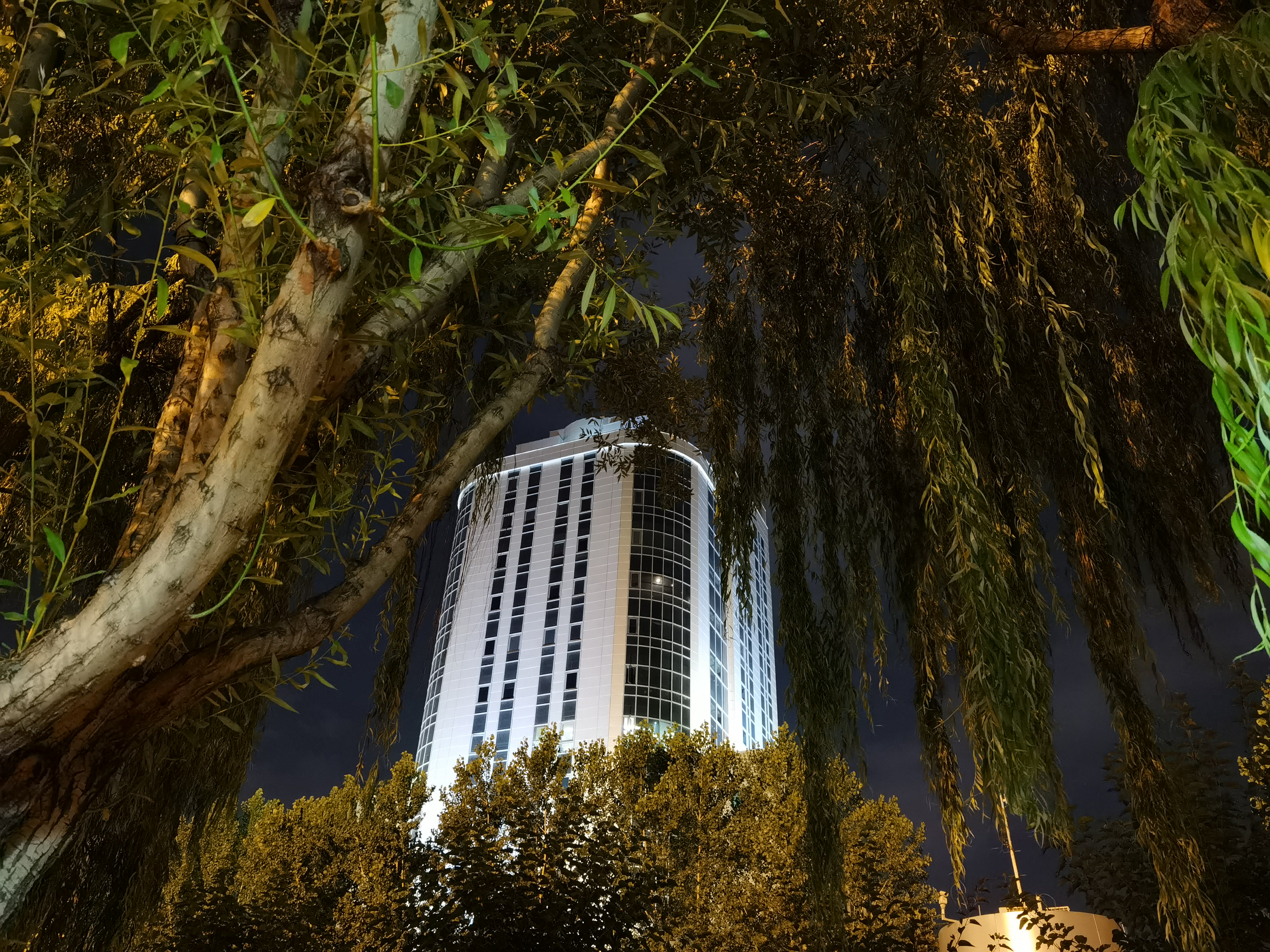 نمونه عکس واید هواوی P40 Pro در تاریکی با حالت Photo - ساختمان و درخت