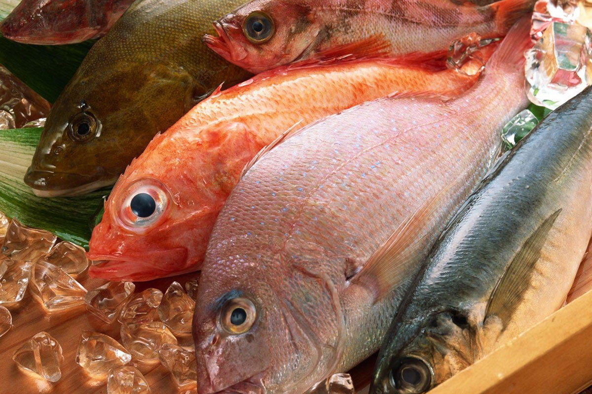 آیا خوردن ماهی از مغز دربرابر آلودگی هوا محافظت می‌کند؟