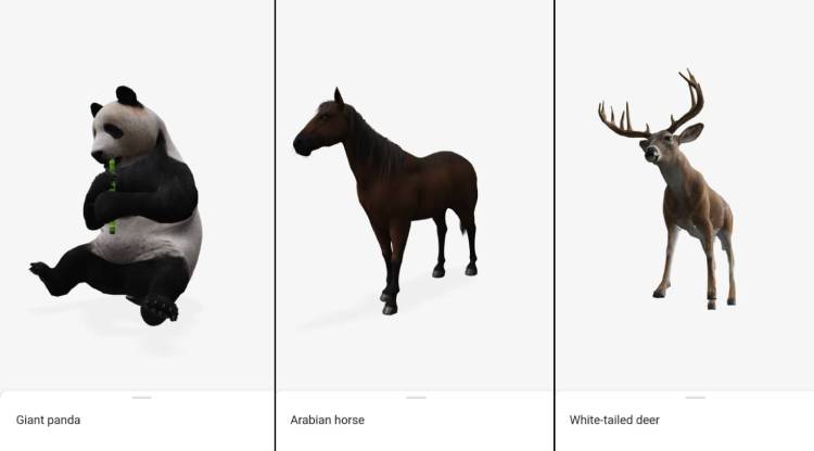 تصاویر سه بعدی گوگل از حیوانات