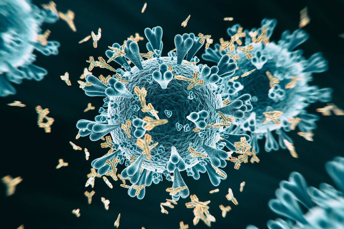 ایمنی دربرابر ویروس کرونا ممکن است گسترده‌تر از چیزی باشد که آزمایش‌ها نشان می‌دهند