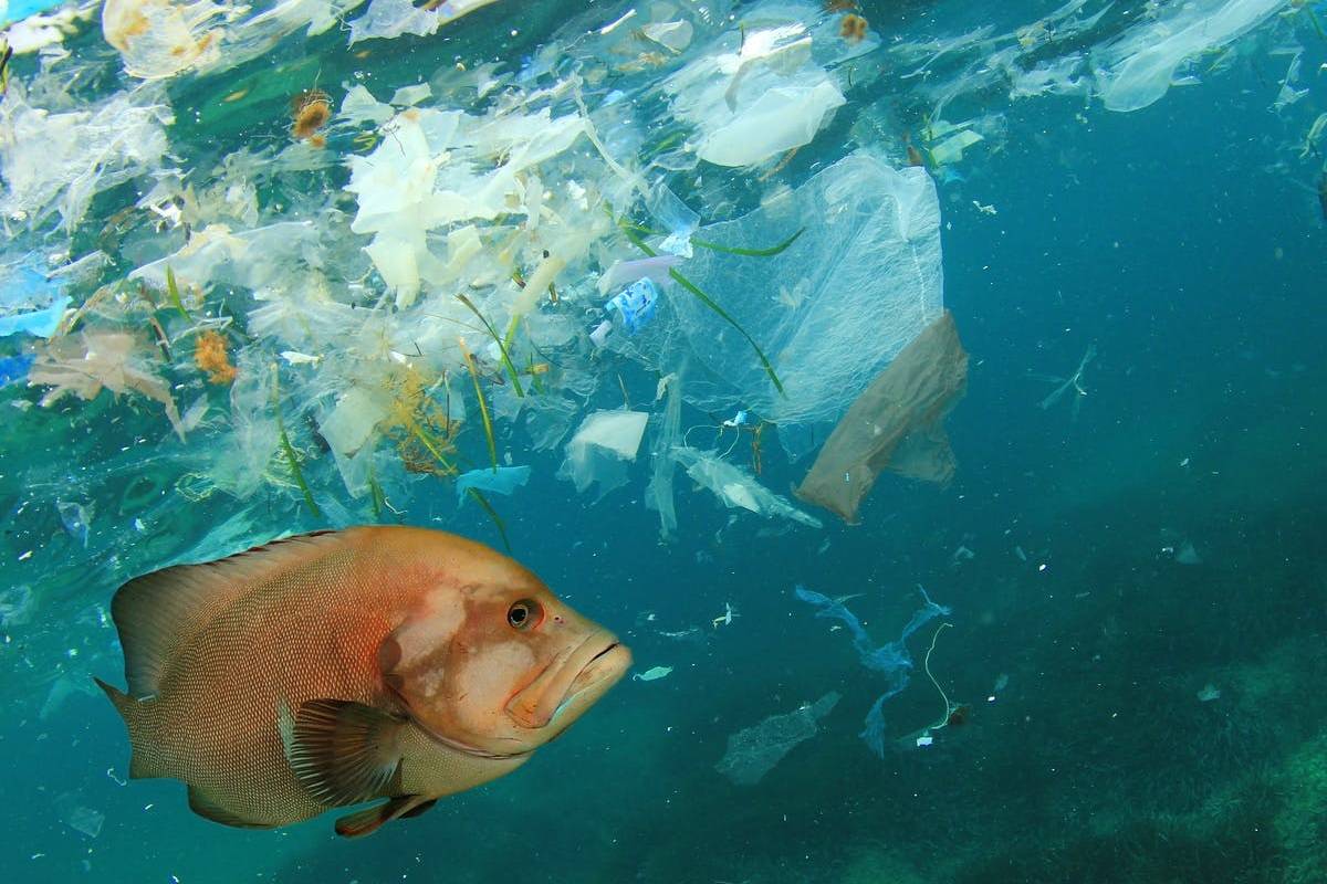 معضل آلودگی پلاستیکی جهان در سال ۲۰۴۰ به کجا خواهد رسید؟