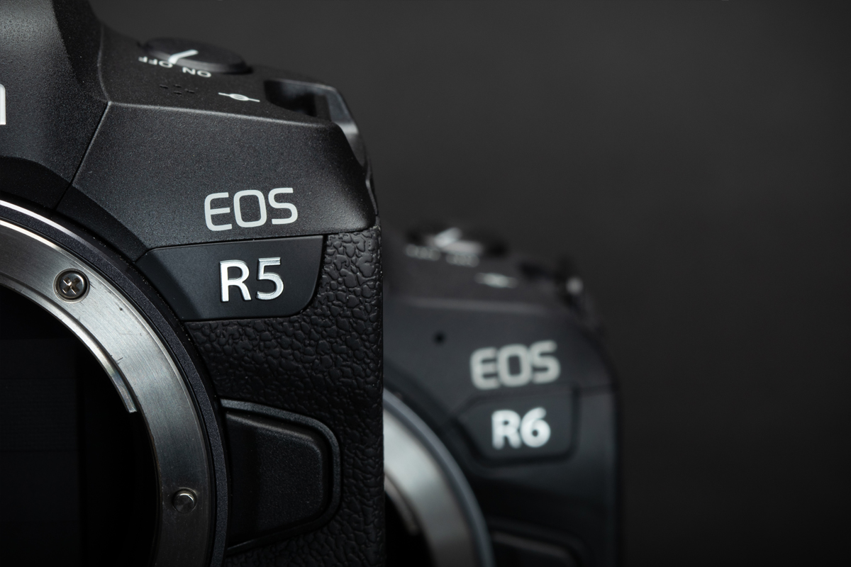 مقایسه عمیق دوربین‌های کانن EOS R5 و EOS R6