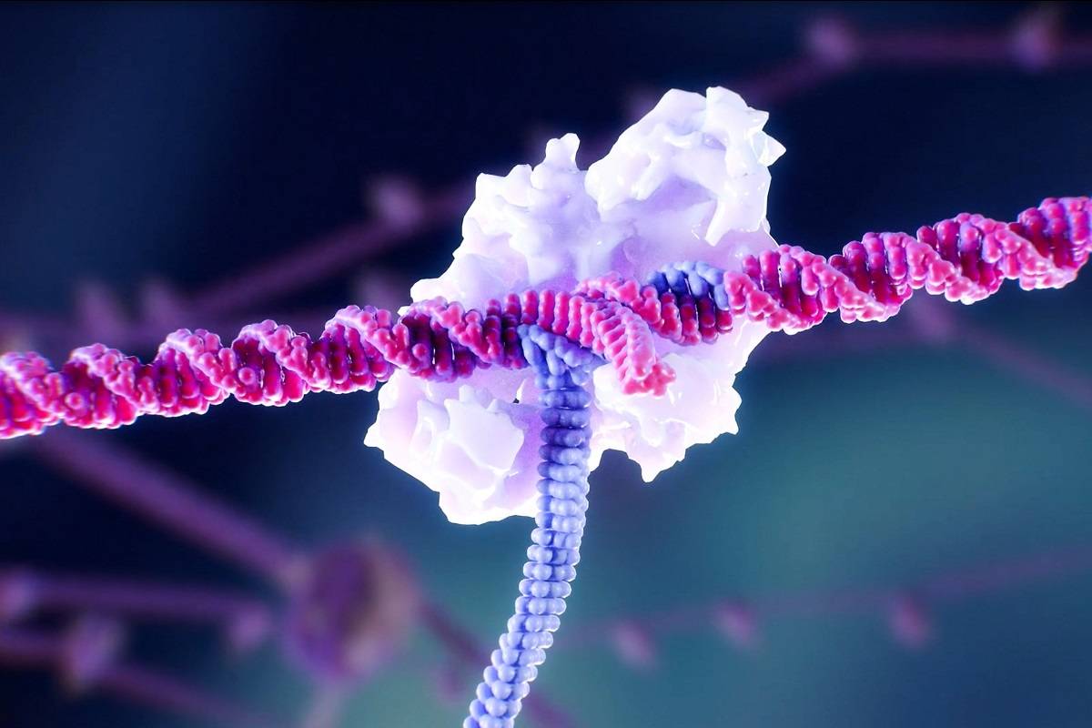 شرکتی که می‌خواهد آینده بیماری‌های ژنتیکی را بازنویسی کند