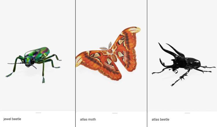 نمونه تصاویر سه‌بعدی از حشرات