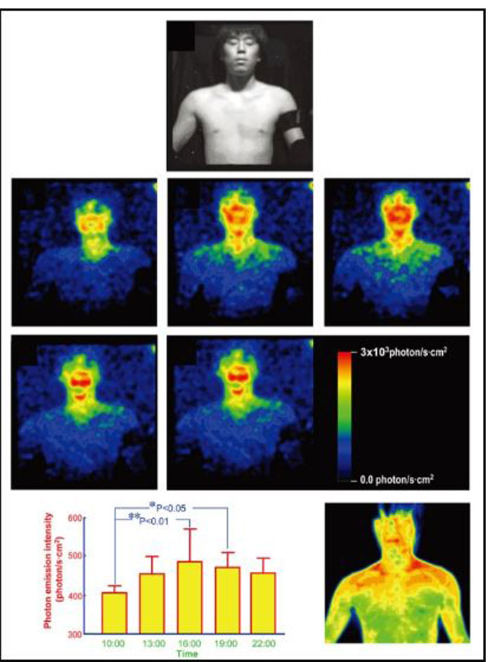 عکاسی بیولومینسانس از بدن انسان با یک دوربین فوق حساس