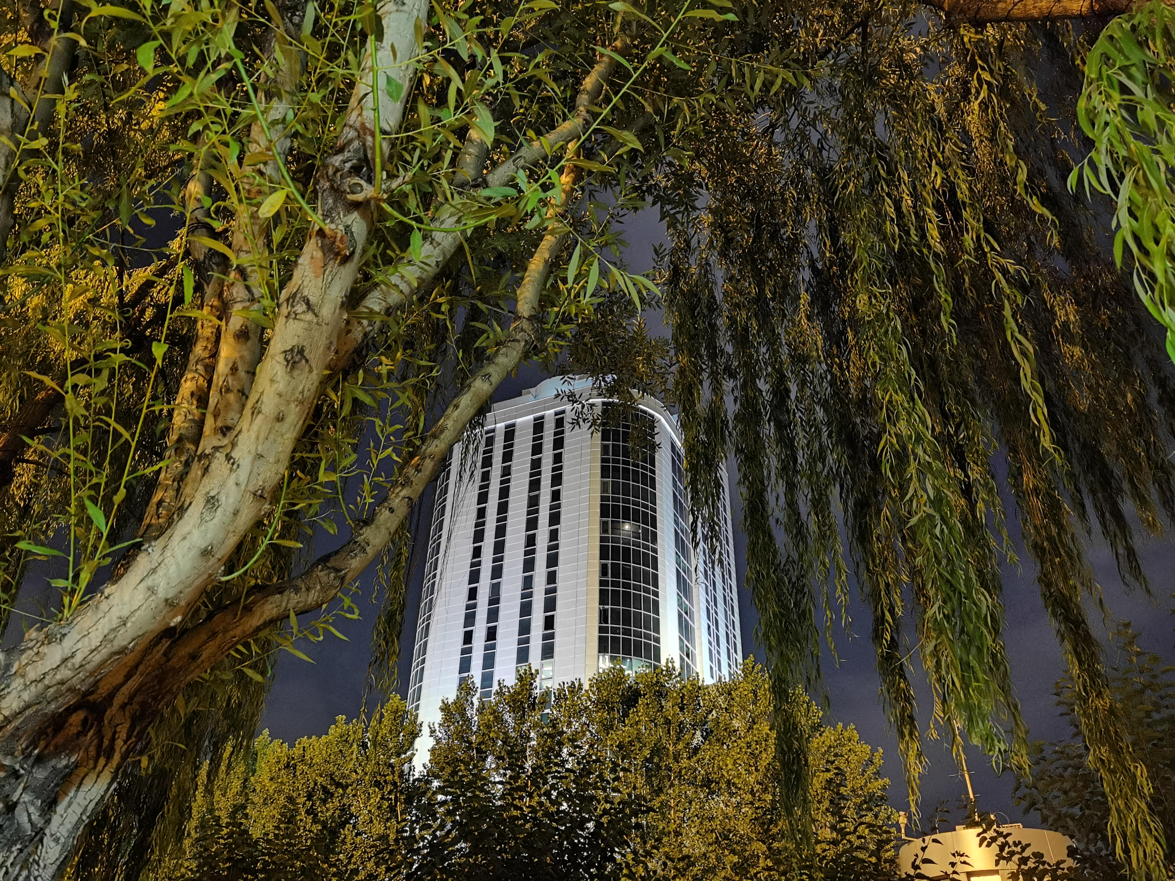 نمونه عکس واید هواوی P40 Pro در تاریکی با حالت Night - ساختمان و درخت