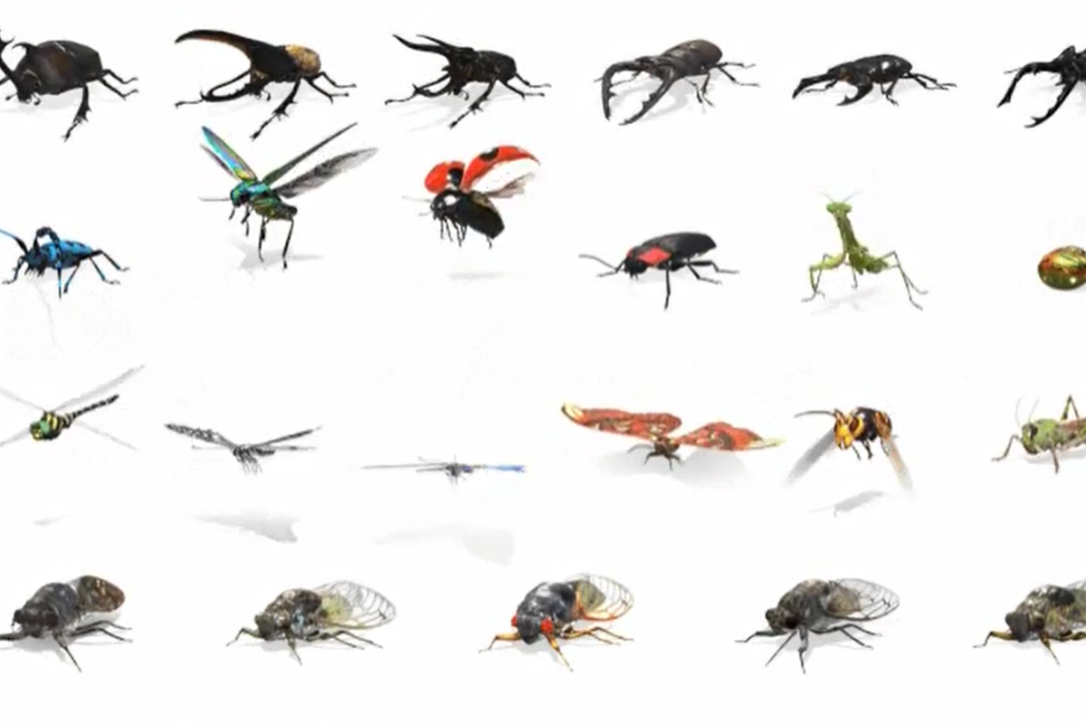 حشرات واقعیت افزوده / AR موتور جستجو گوگل / Google