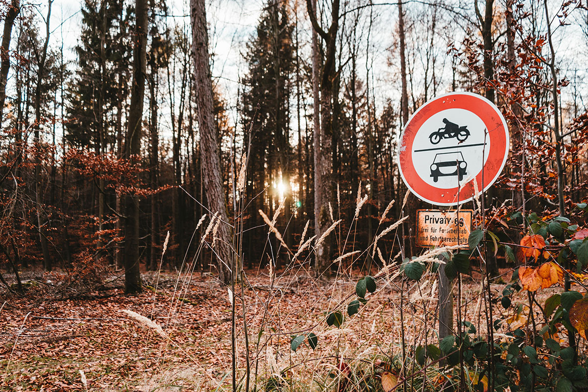علامت راهنمایی و رانندگی در جنگل