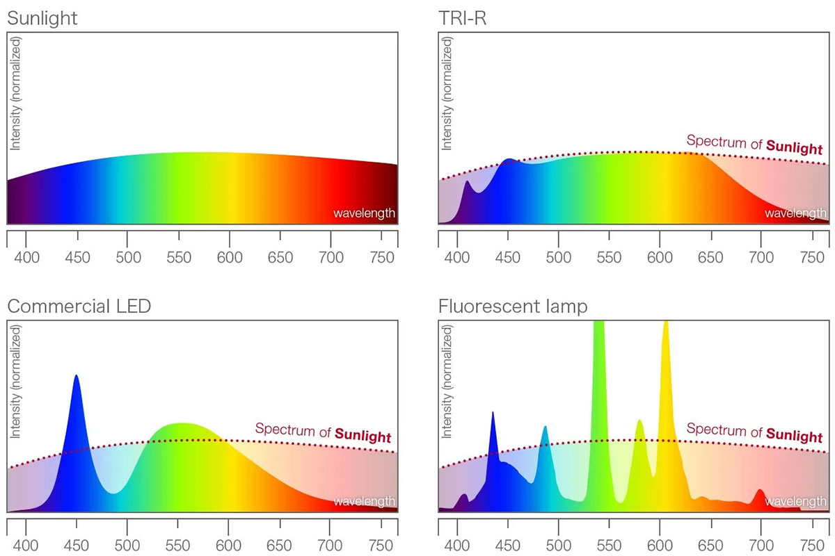 مقایسه طیف نوری خورشید و فلورسنت و LED