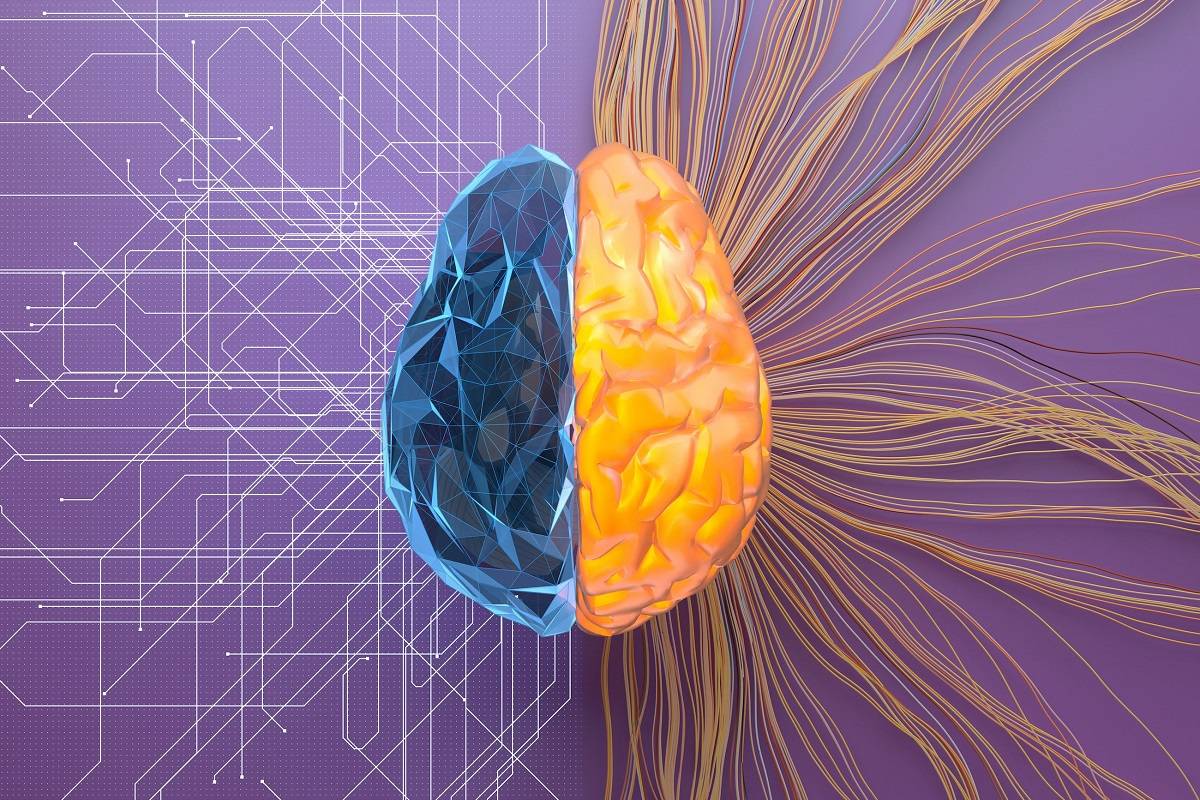  آیا آموزش مغز واقعا موثر است؟