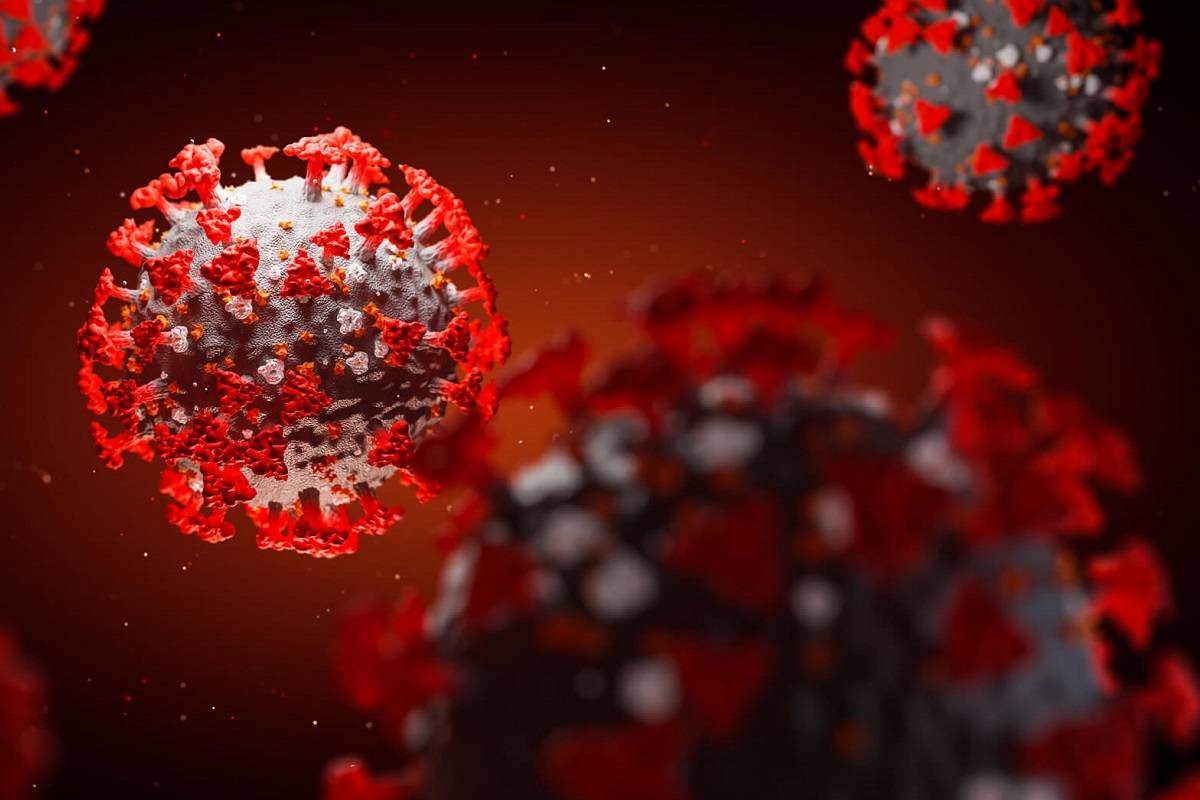 پروتئین اسپایک ویروس کرونا برای حمله به سلول،‌ اشکال مختلفی به خود می‌گیرد