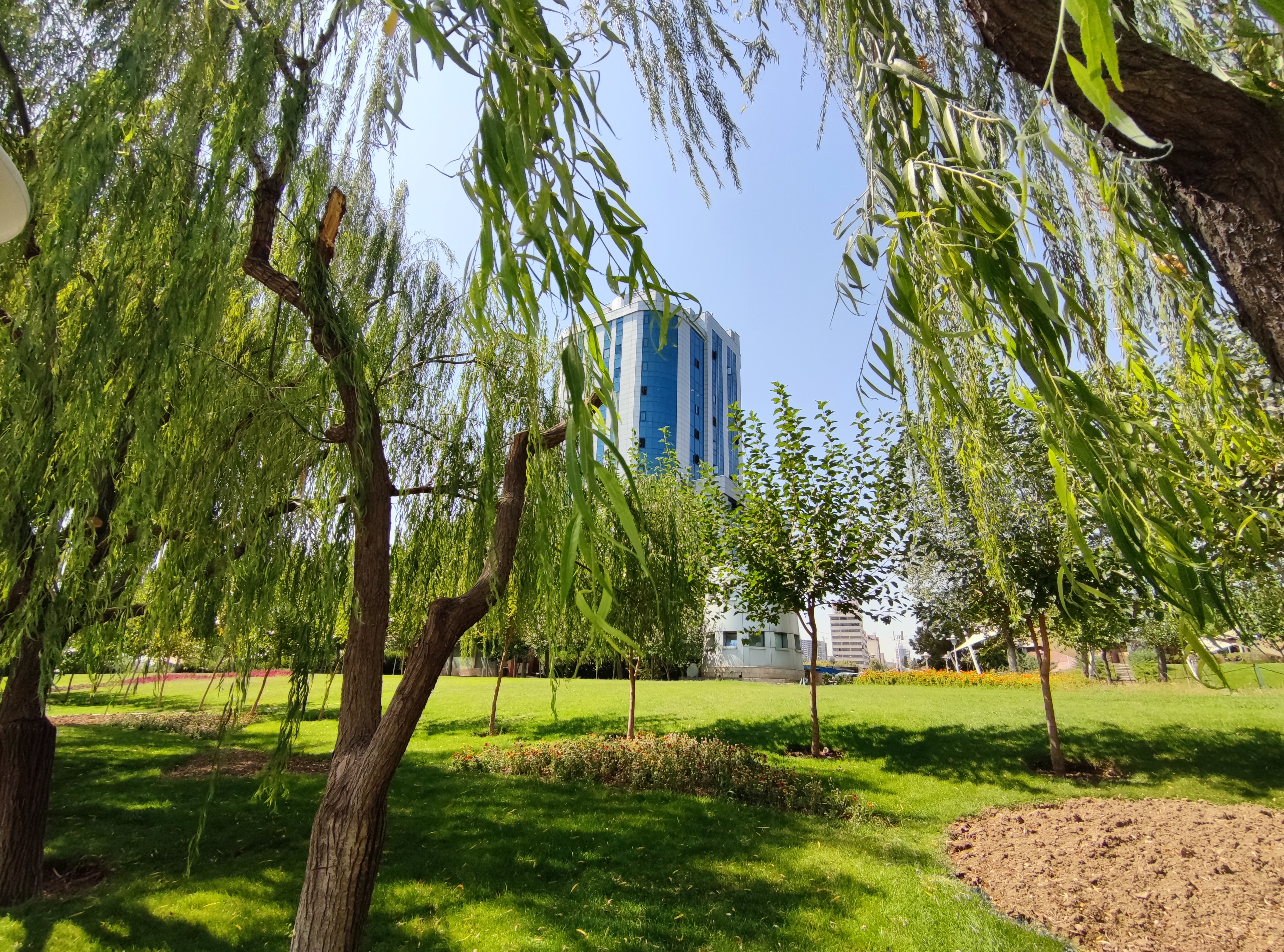 نمونه عکس دوربین اولتراواید شیائومی می 10 - ساختمان و درخت پارک آب و آتش