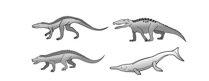 تمساح های پیش از تاریخ / crocodiles from prehistory