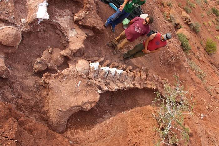 محل کاوش تیتاناسور در آرژانتین / titanosaur excavation site