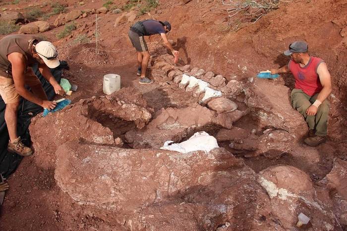 محل کاوش تیتاناسور / titanosaur excavation site