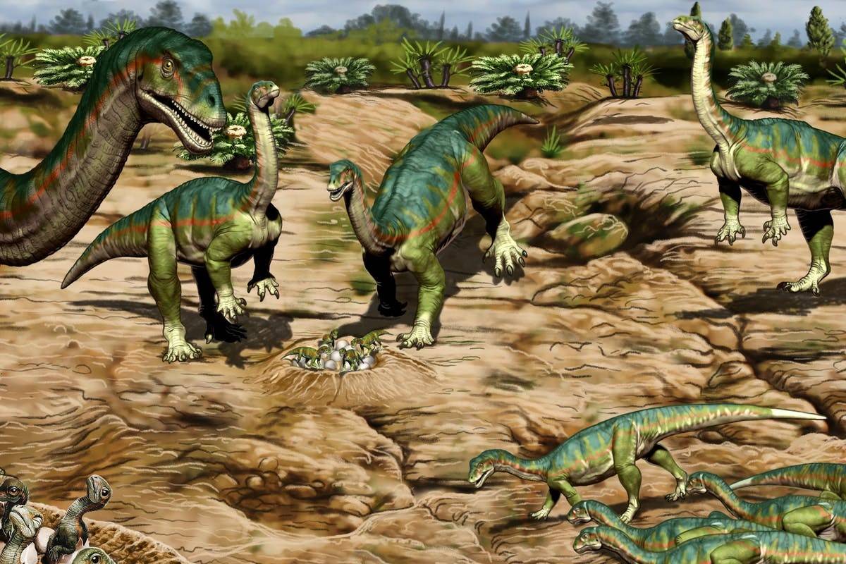 دایناسورهای اولیه زندگی اجتماعی داشتند و درون گله زندگی می‌کردند