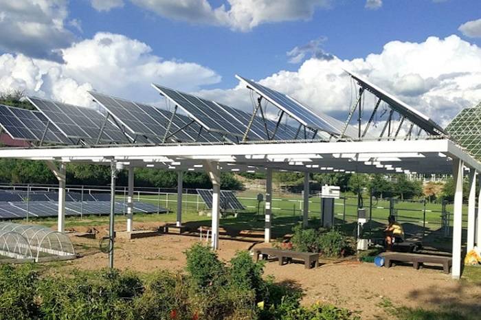 پرورش محصولات کشاورزی زیر پنل‌های خورشیدی