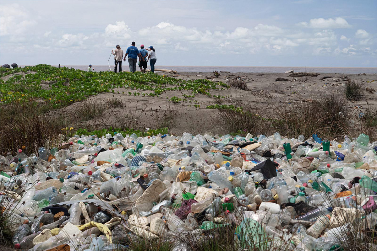 جمع آوری زباله از ساحل