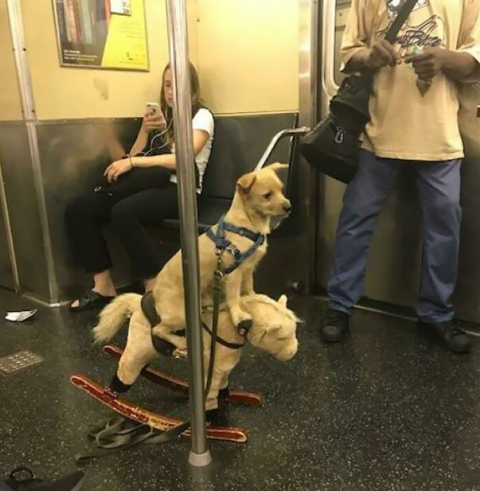 مسافران عجیب مترو