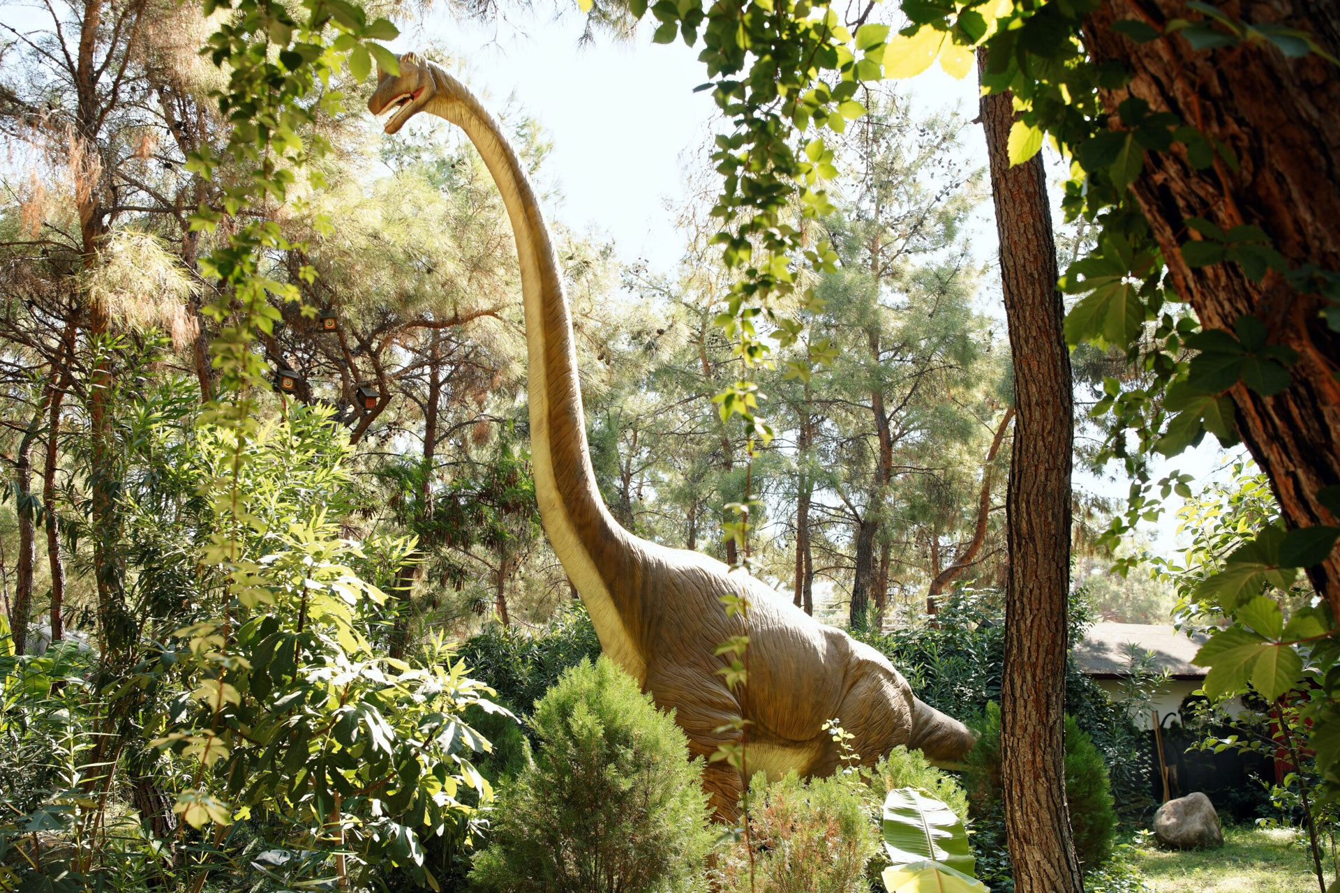 سوپرزاروس؛ طویل‌ترین دایناسور تمام دوران‌ها