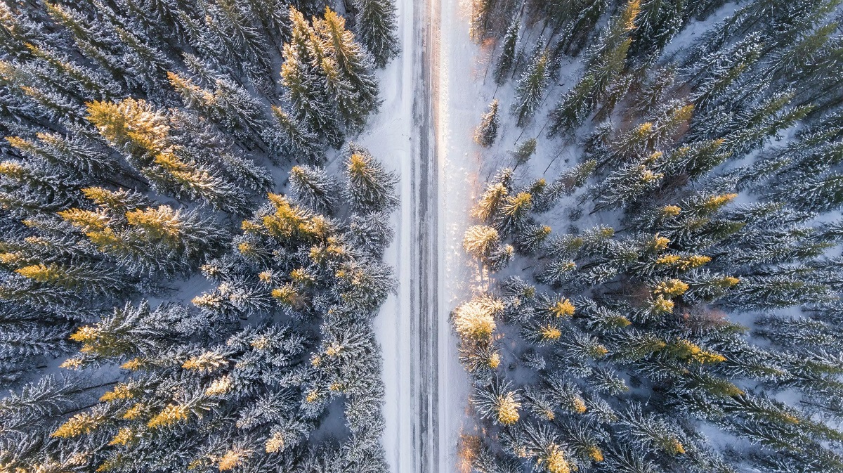 تصاویر زمستانی