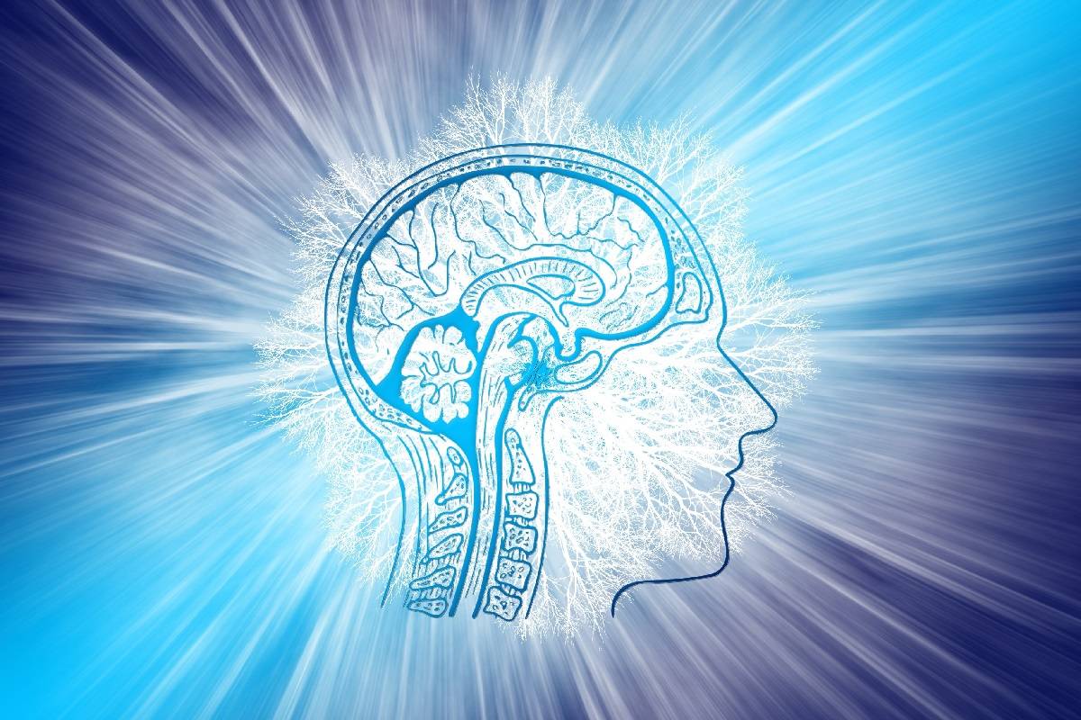 مغز ماشین پیش‌بینی انرژی‌-کارآمد است