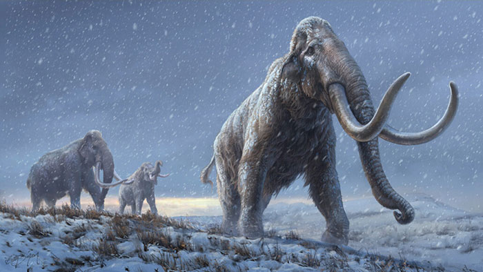 The oldest animal DNA