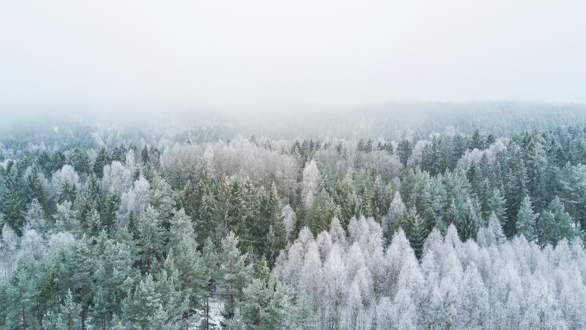 تصاویر زمستانی