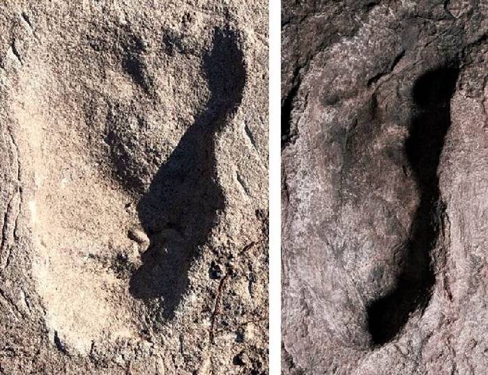Footprints found in Laotoli / footprints