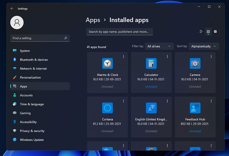 Application section installed in Windows 11 settings