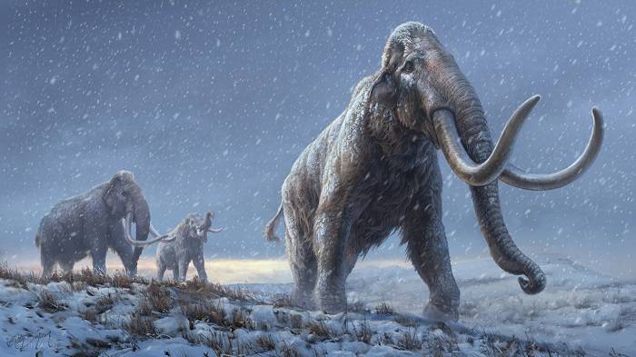 ماموت‌های استپ / steppe mammoths