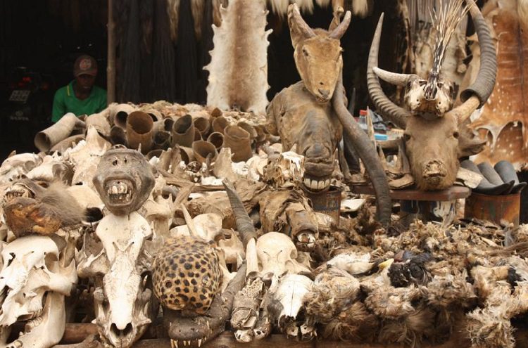 Earth Horror Facts: Akudessua Spell Market, Togo 
