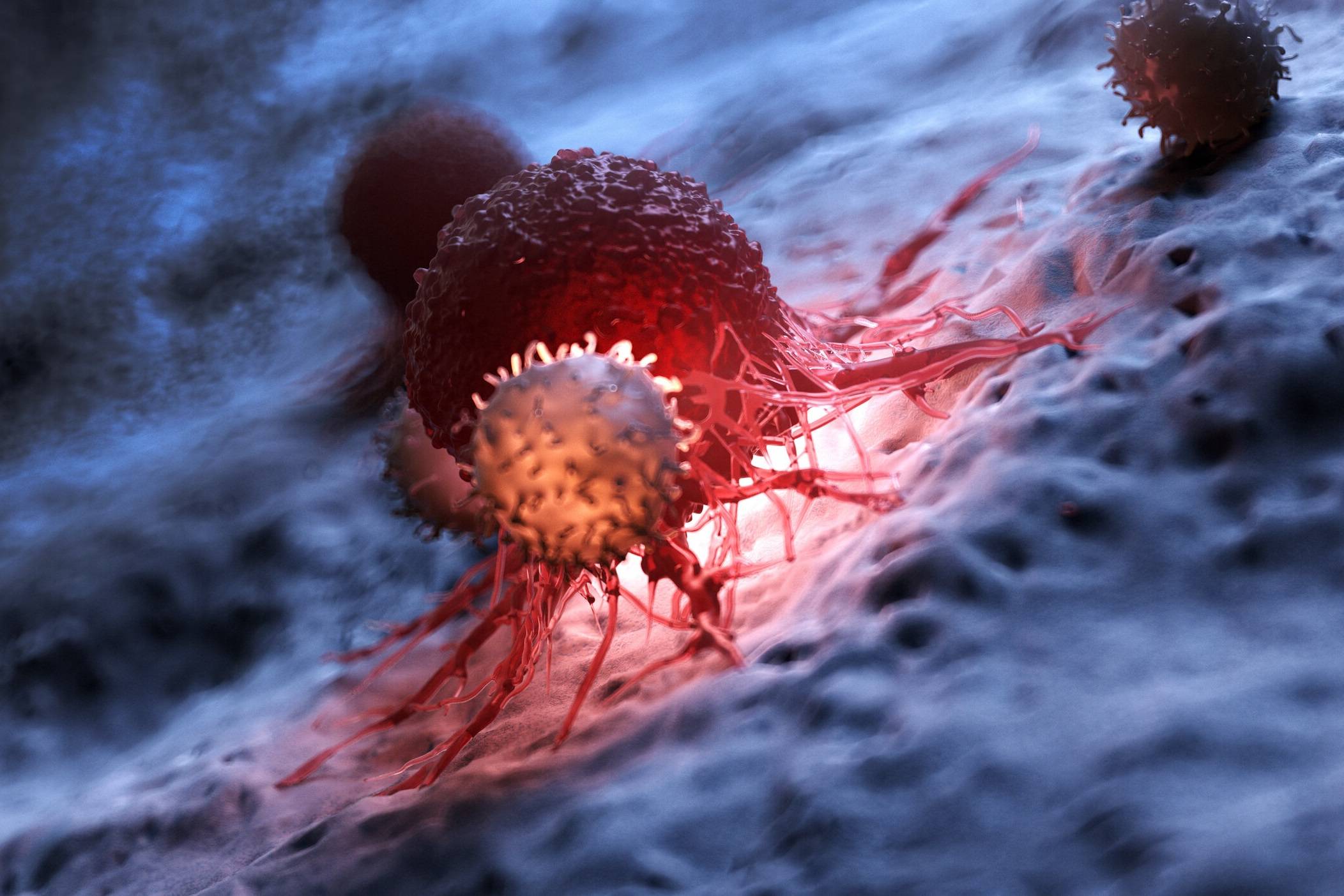 تشخیص تومور با نانوپروب های جدید 