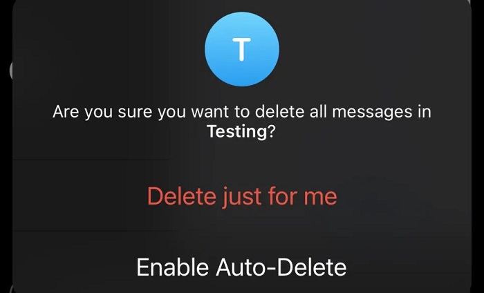 Learn how to delete messages automatically in Telegram