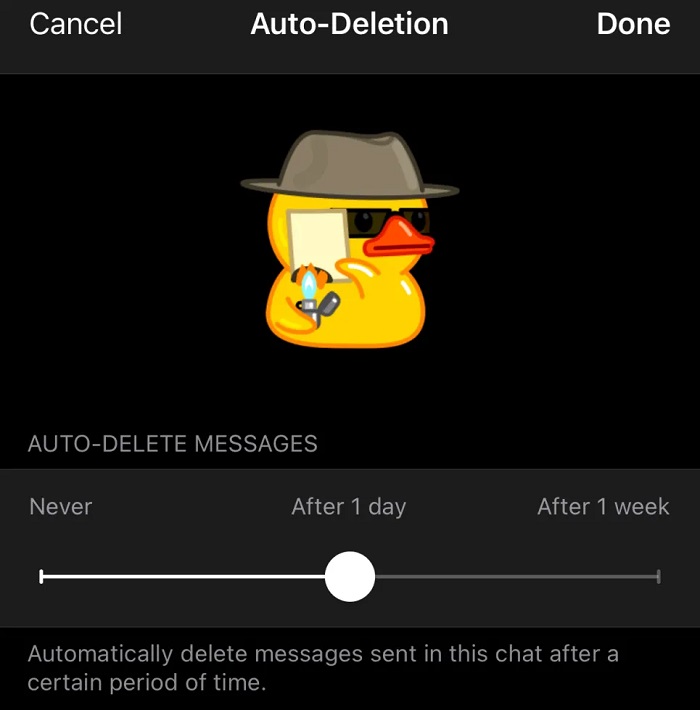 Automatic deletion of messages from Telegram