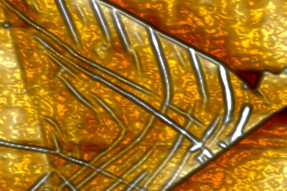 لایه اتمی مولیبدن دی‌سولفید زیر میکروسکوپ