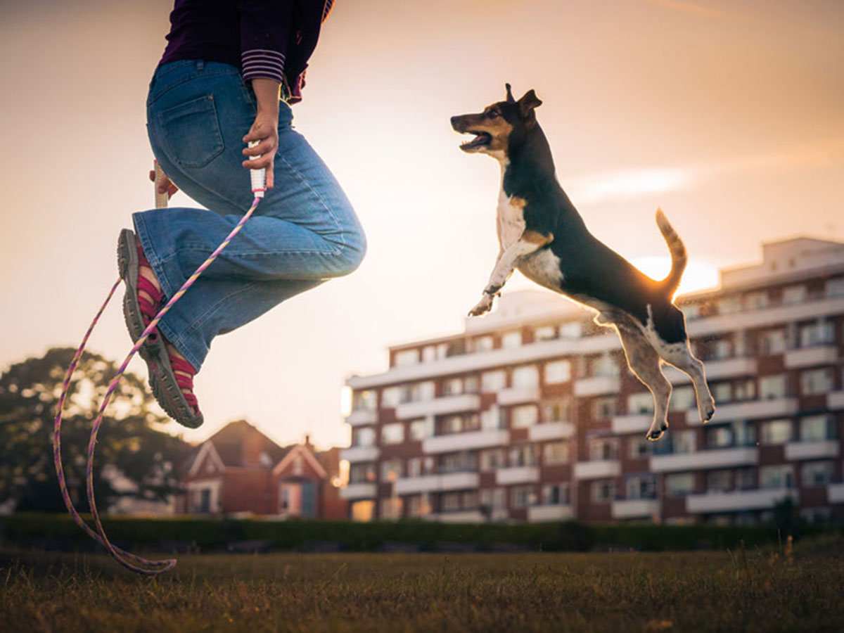 16 1 - جذاب‌ترین تصاویر مسابقه «عکاس سال سگ کلاب کنل»