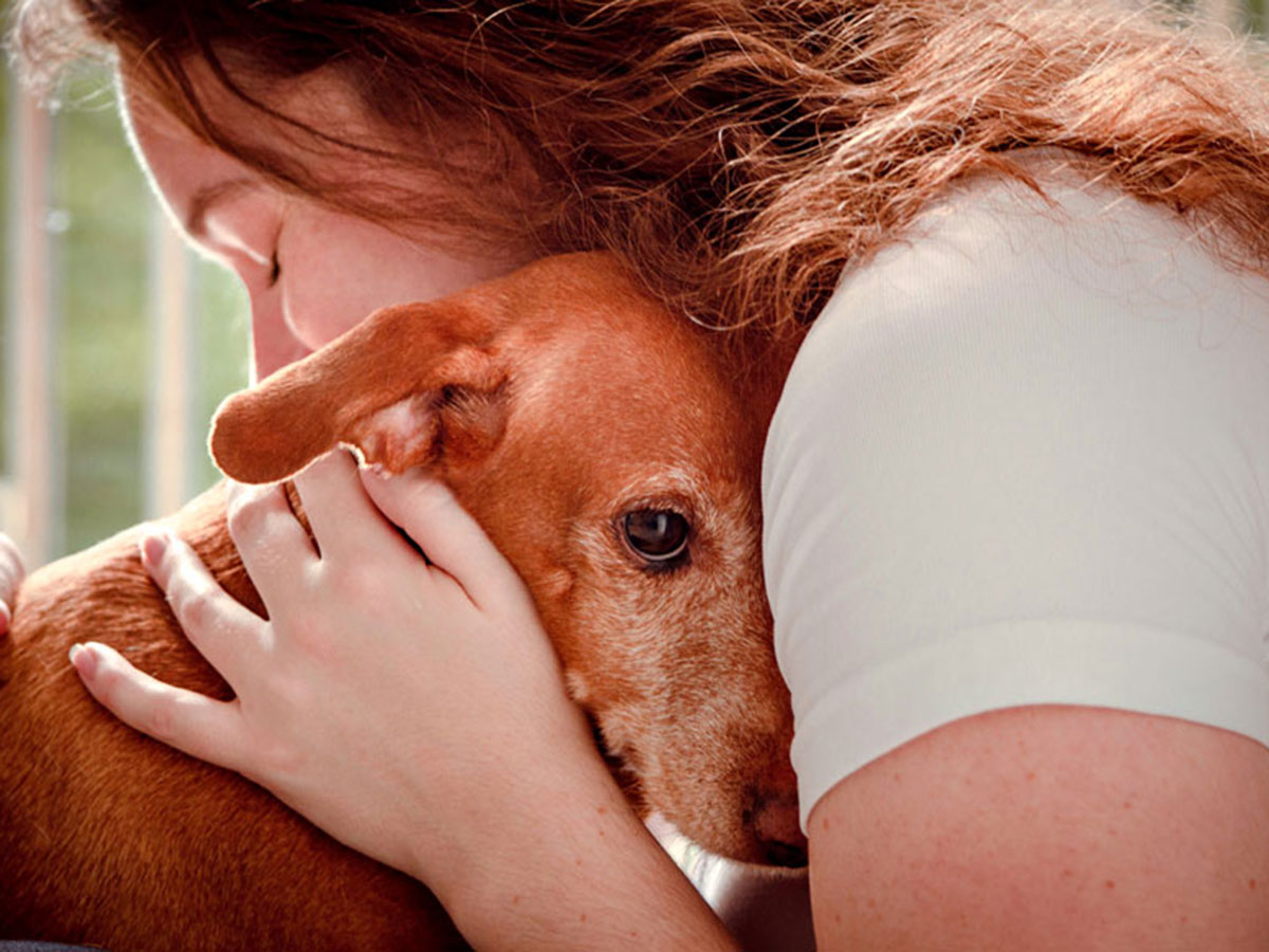 18 1 - جذاب‌ترین تصاویر مسابقه «عکاس سال سگ کلاب کنل»