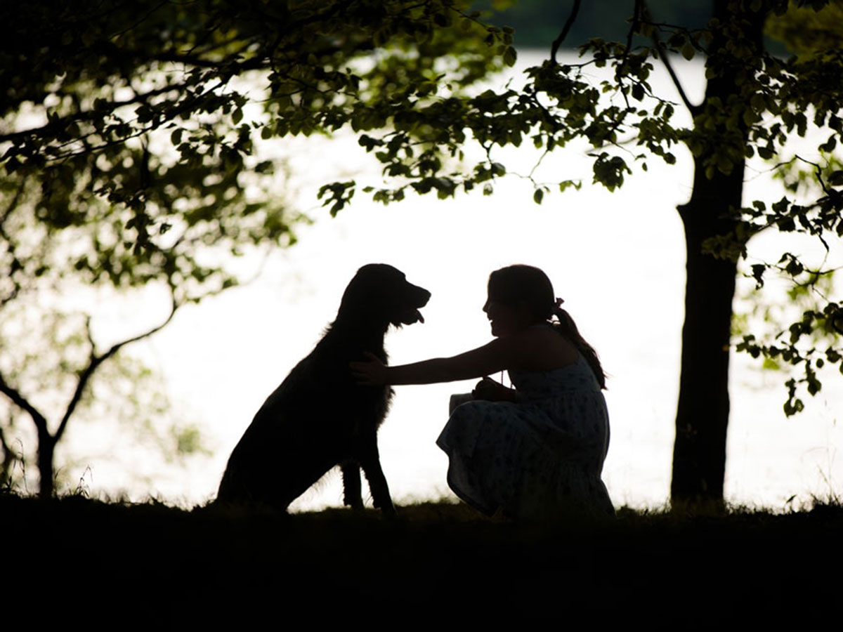 27 1 - جذاب‌ترین تصاویر مسابقه «عکاس سال سگ کلاب کنل»