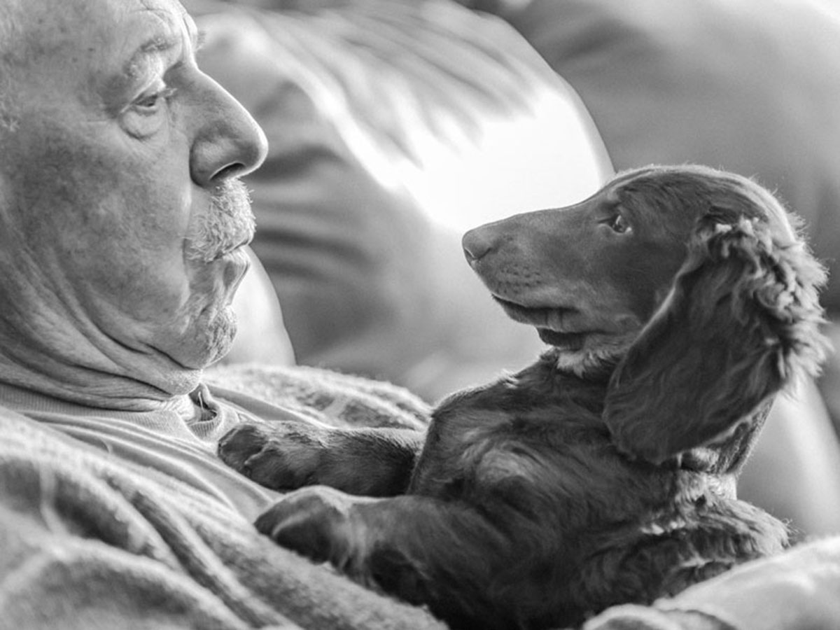 3 2 - جذاب‌ترین تصاویر مسابقه «عکاس سال سگ کلاب کنل»