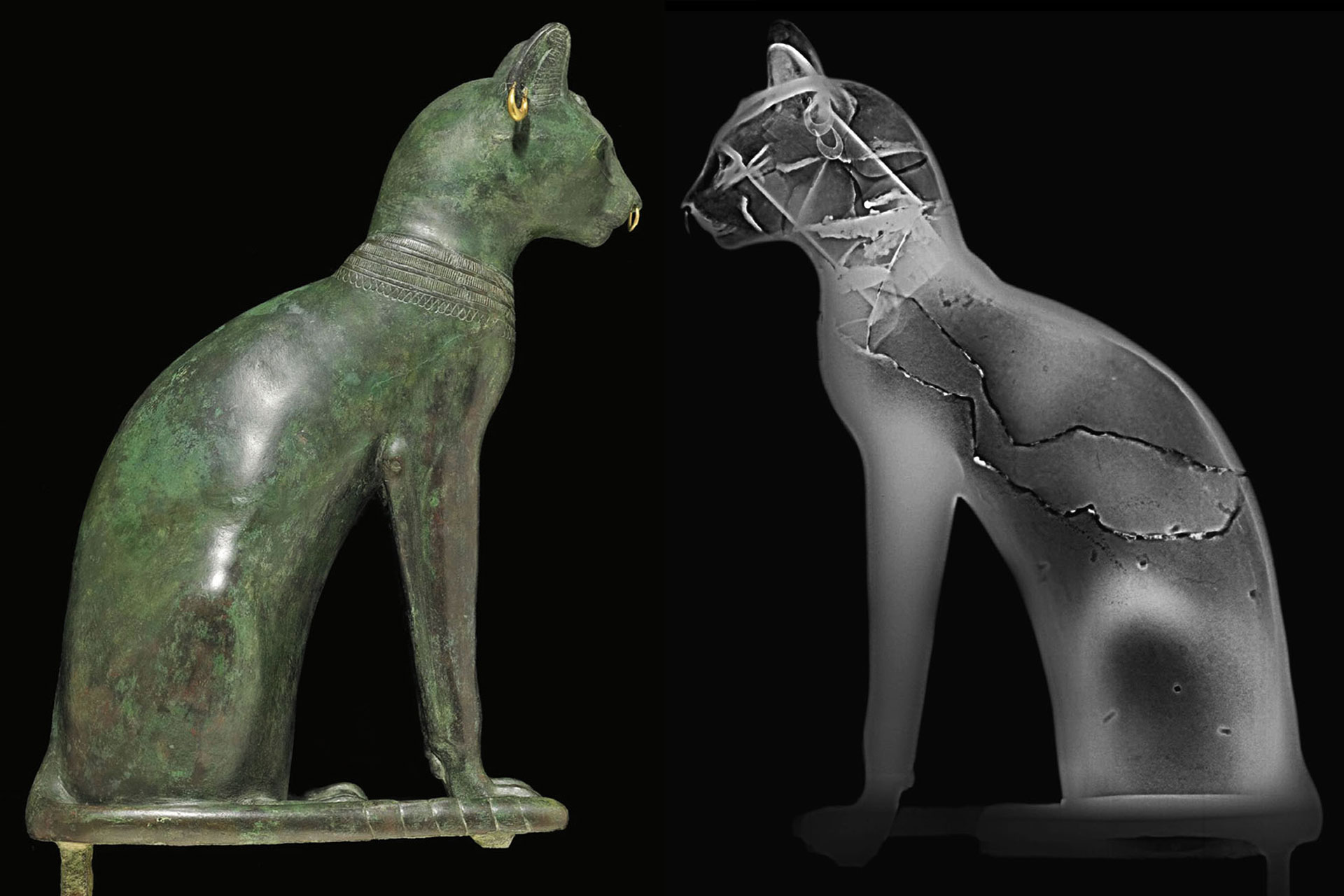 چرا مصریان باستان تحت‌تأثیر گربه‌ها بودند؟