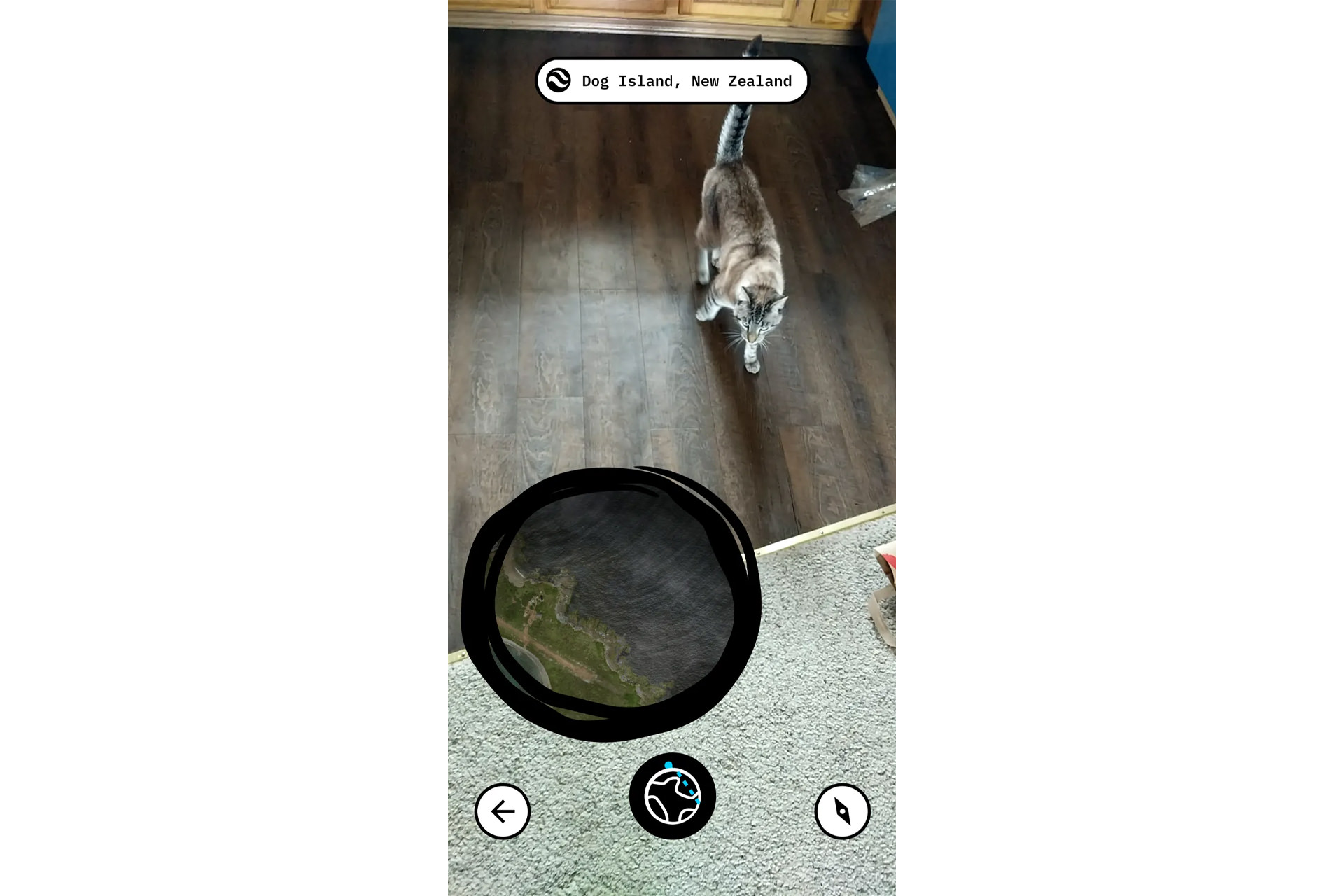 گربه و کف زمین در Floom گوگل