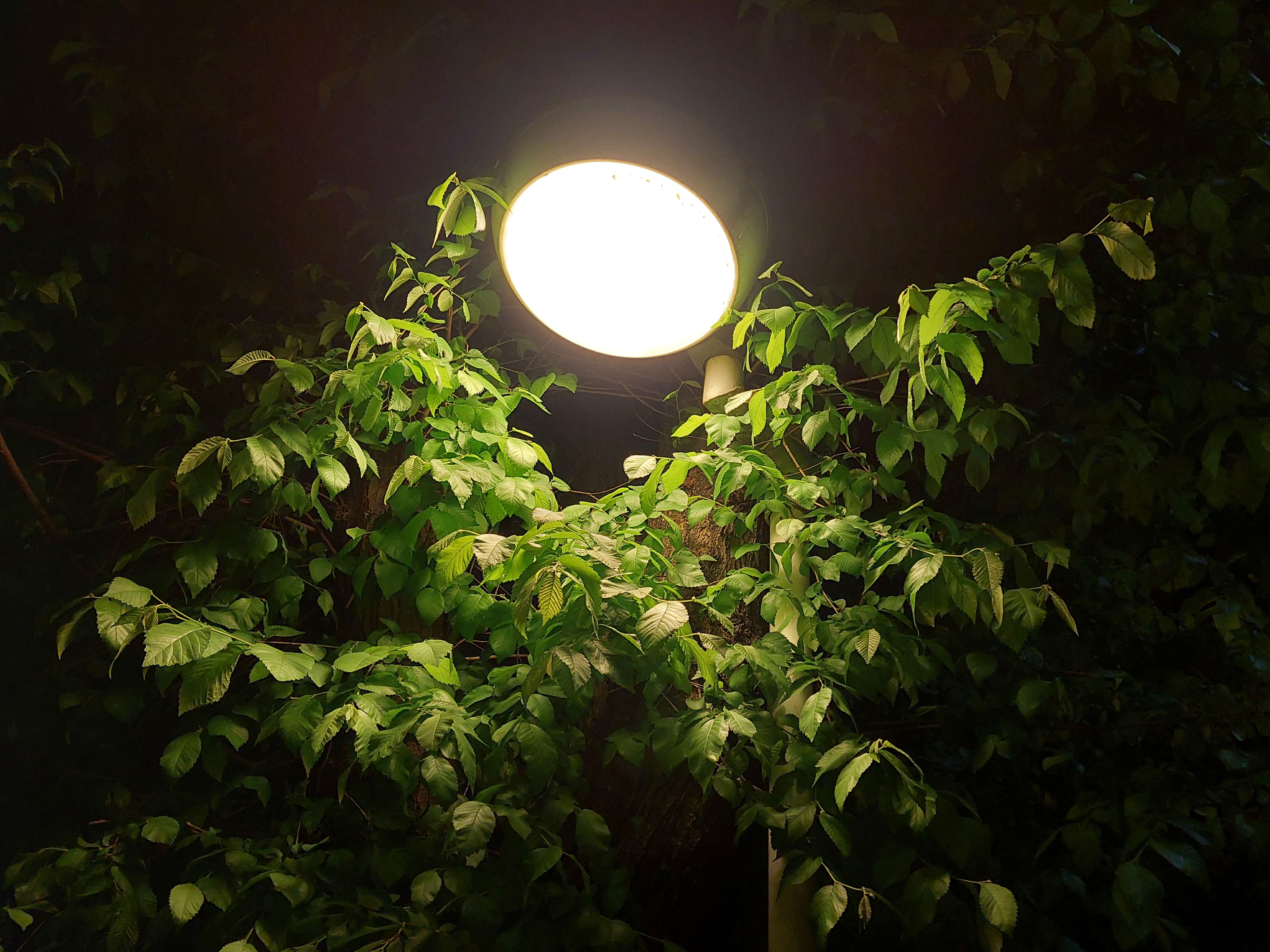 عکس نمونه دوربین واید گلکسی A52 در نور کم - چراغی در هفت حوض