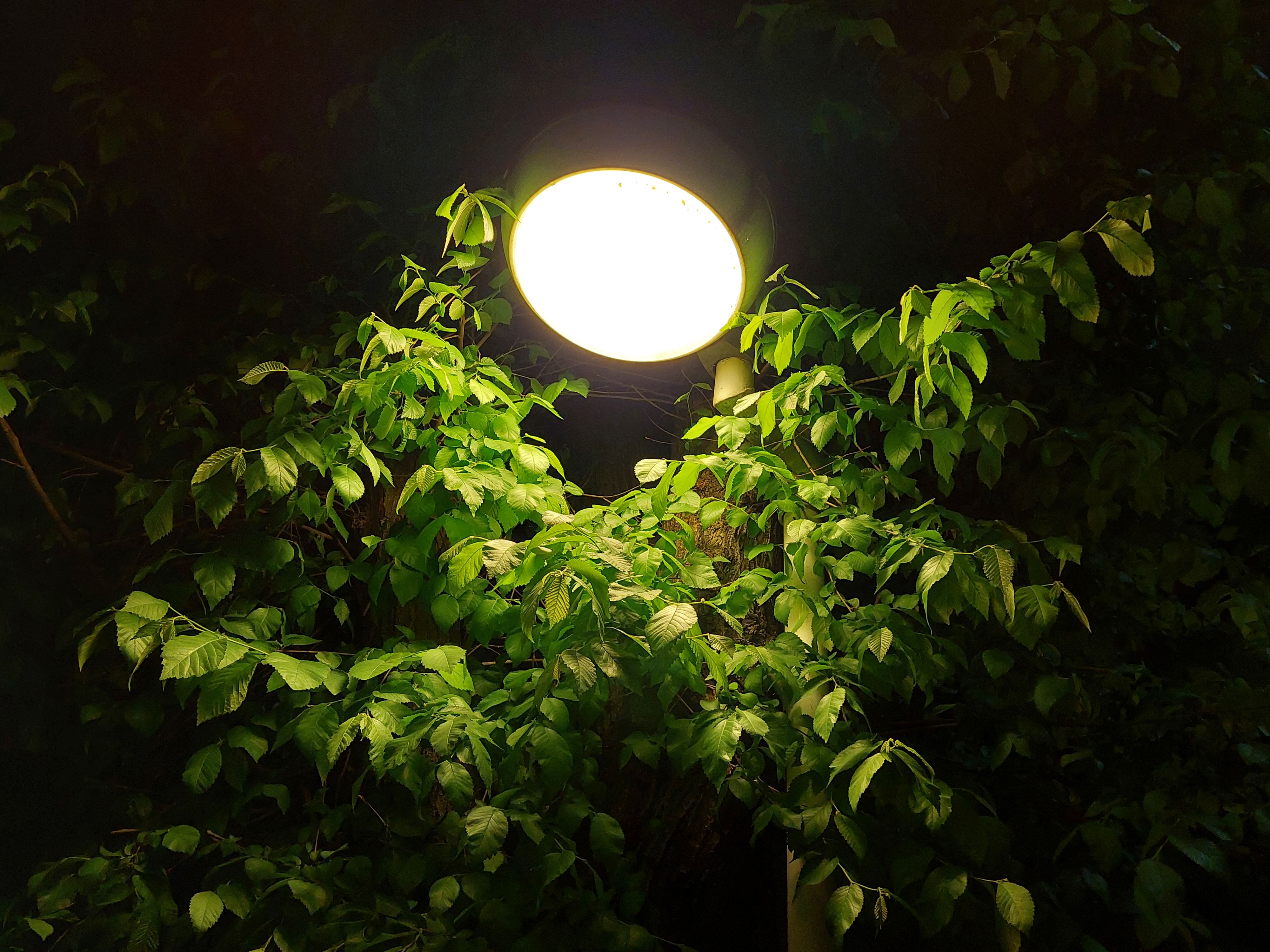 عکس نمونه دوربین واید گلکسی A72 در نور کم - چراغی در هفت حوض